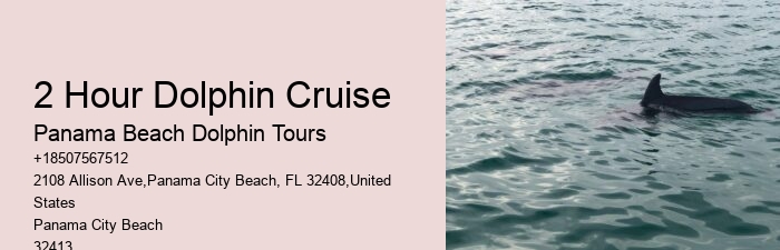 Panama City Beach Dolphin Adventure Cruises