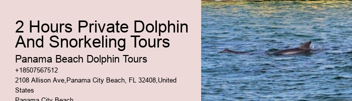 How To Catch Fish Even When Dolphins Are Around