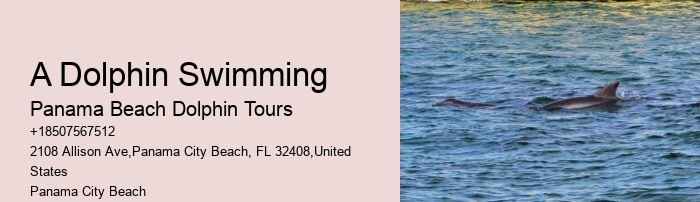 With Dolphins