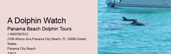 Airboat Tours Panama City Beach