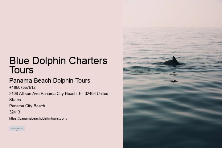 Dolphin And Snorkeling Day Trips From Split
