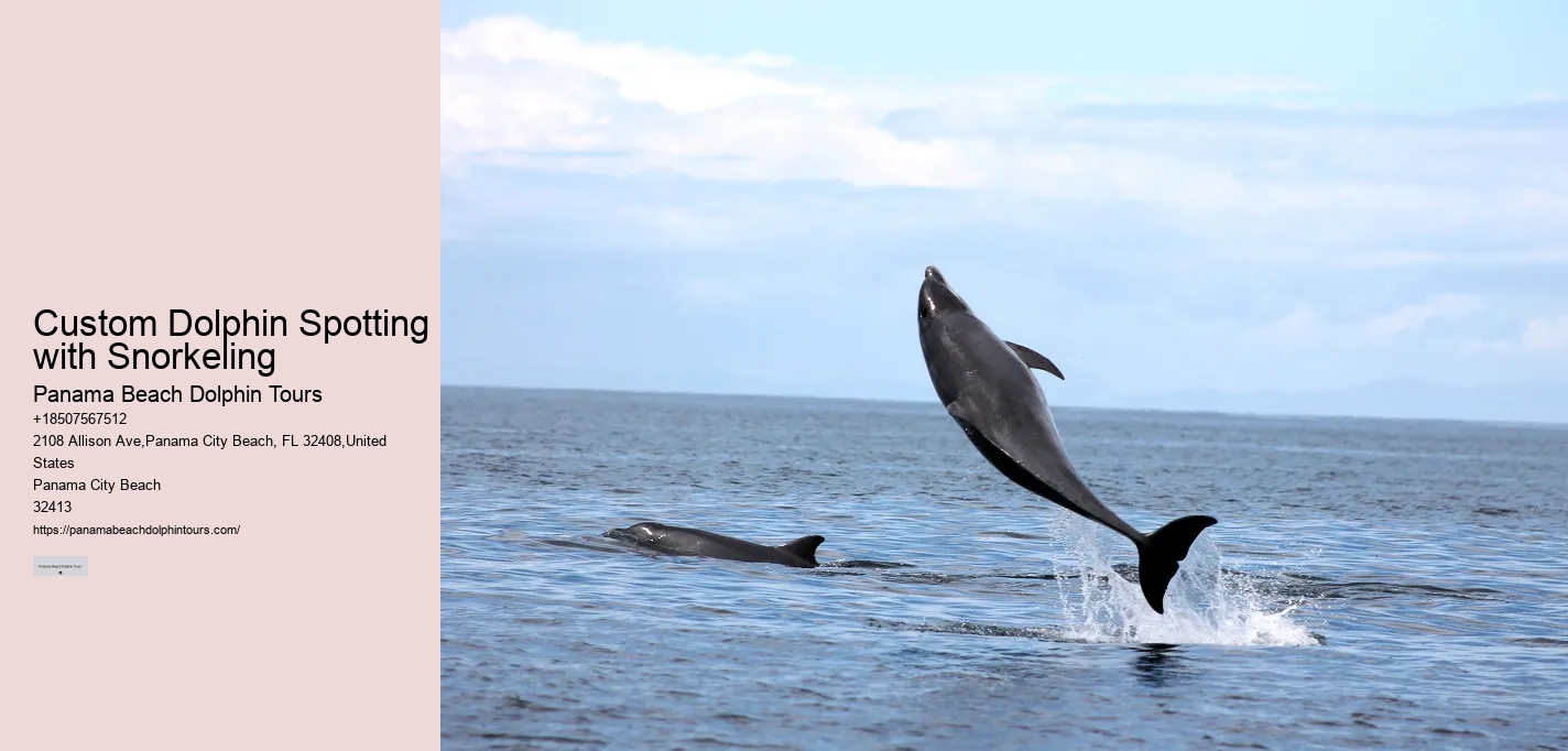 Panama City Dolphin
