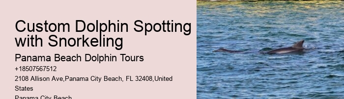 Snorkeling Excursions With Dolphin Sightings In Split