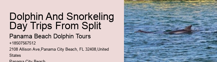 Split All-inclusive Dolphin And Snorkeling Vacations