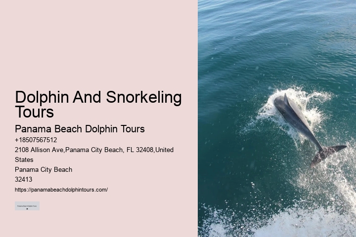 Dolphin Tours Tarpon Springs