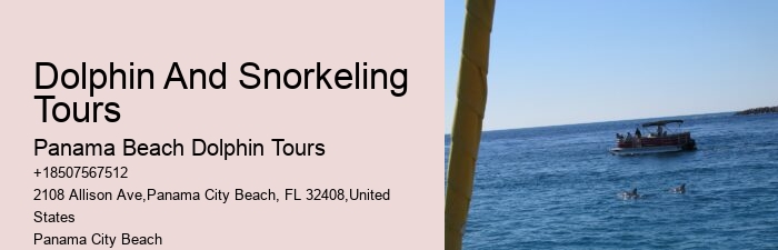 Panama City Beach Dolphin Tours