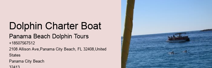 Elite Dolphin Interaction and Snorkeling Tours