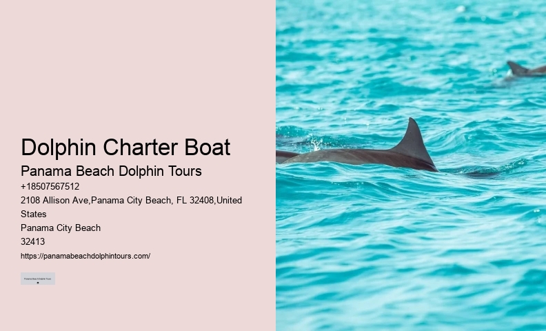Dolphin Adventure Excursions in PCB