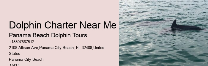 Dolphin Adventure Tours PCB