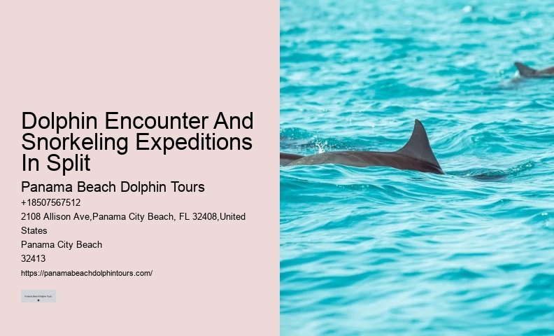PCB Dolphin Exploration Voyages
