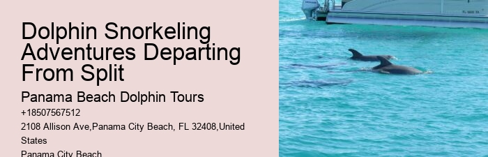 Guided tours