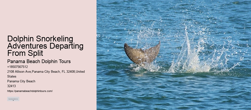 How long is the typical dolphin tour in Panama City Beach