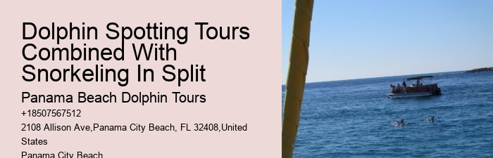 Do You Need A Wetsuit To Swim With Dolphins
