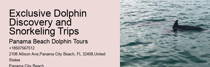 Panama City Beach dolphin boat excursions