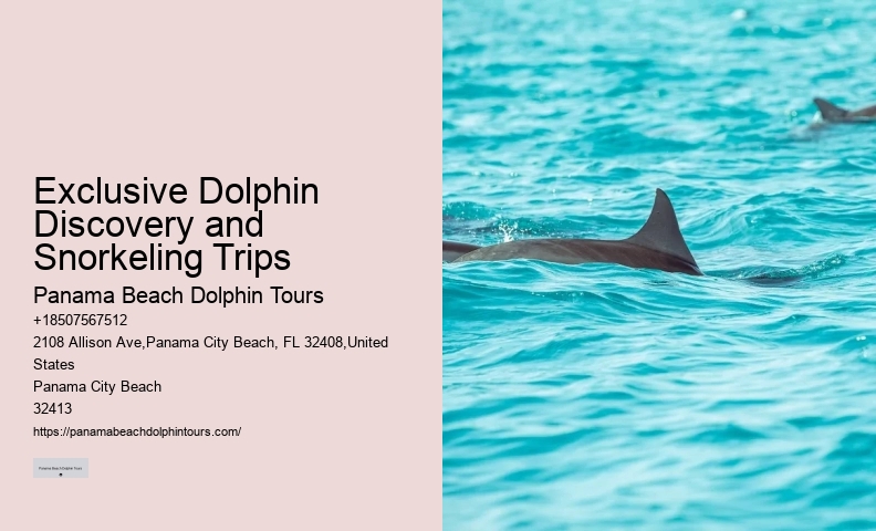 Secluded Dolphin Exploration with Snorkeling