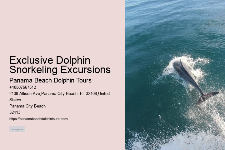 Panama City Dolphin Tours And More