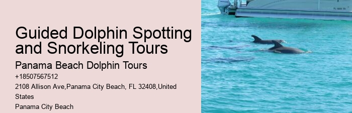 Panama City Beach dolphin discovery cruises