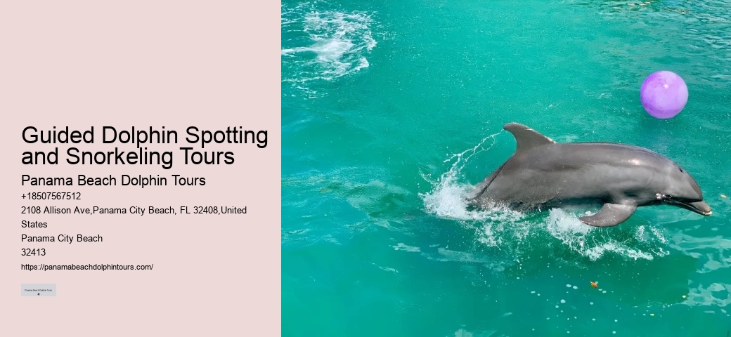 Is The Blue Lagoon Dolphin Encounter Worth It