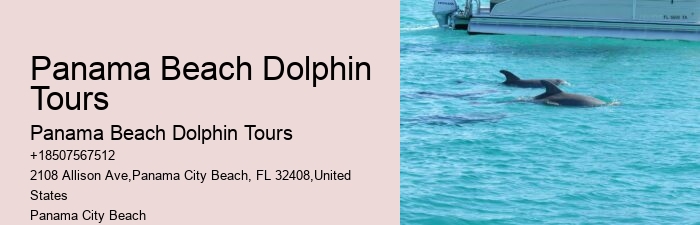 Panama City Beach Catamaran Snorkel Dolphin Swim Cruise