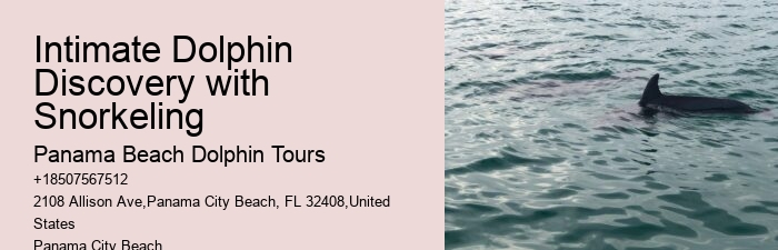 Why Is It Illegal To Interact With Dolphins