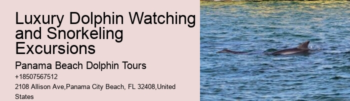 Why Shouldn't You Touch Dolphins