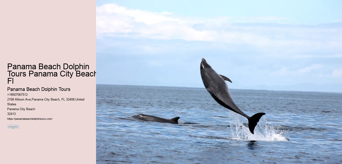Do Dolphins Have A Dark Side