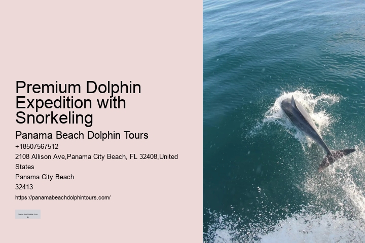 Dolphin Tours Panama City Beach
