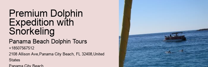 A Dolphin Watch