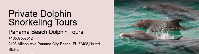 Shell Island Snorkeling & Dolphin Tours