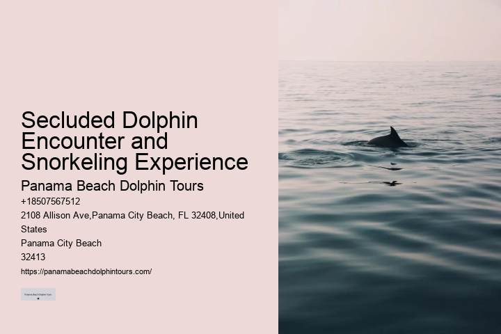 Panama City Beach dolphin discovery excursions
