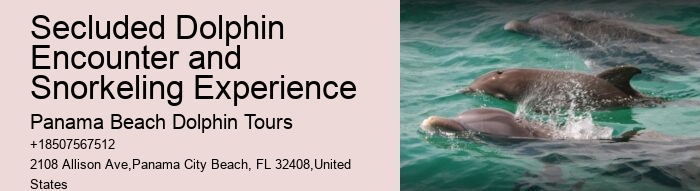 Split Private Luxury Dolphin And Snorkeling Tours