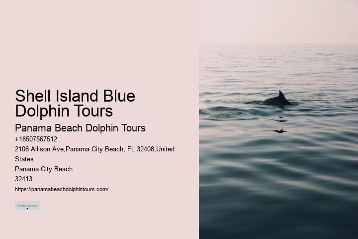 Dolphin Tours Rehoboth Beach