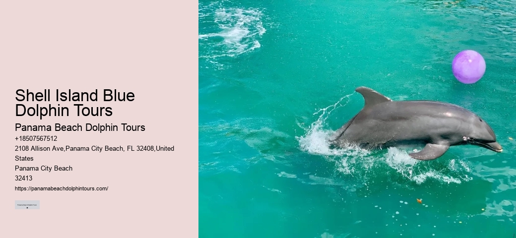 Can You Swim With Dolphins In Panama