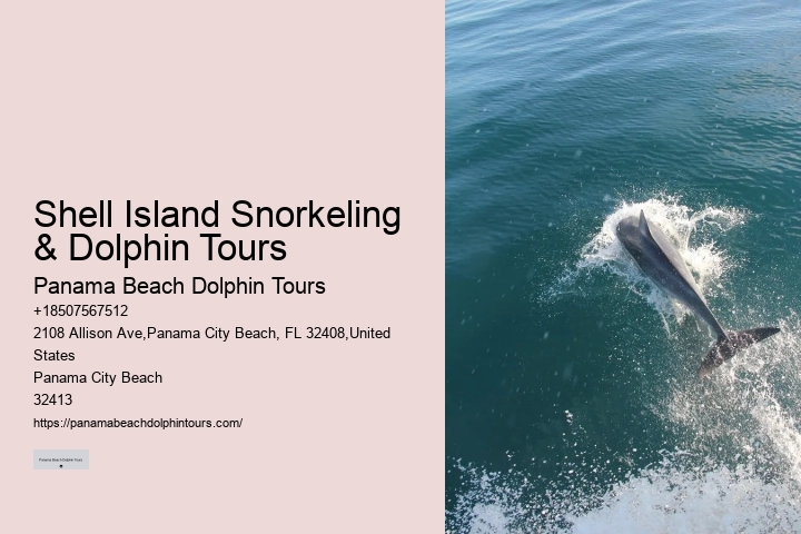 Snorkeling With Dolphins Near Me