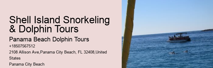 Can I request a specific time for my dolphin tour