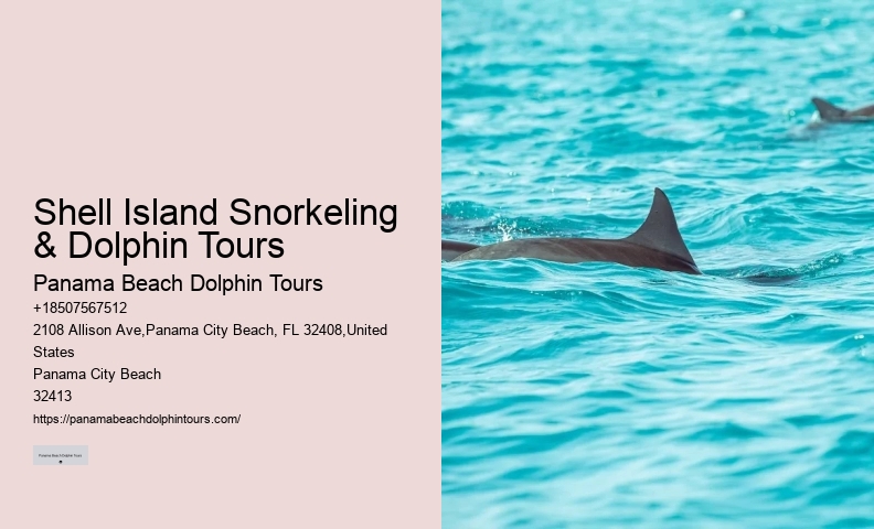 Water Planet Dolphin Swim Tours Panama City Beach Fl