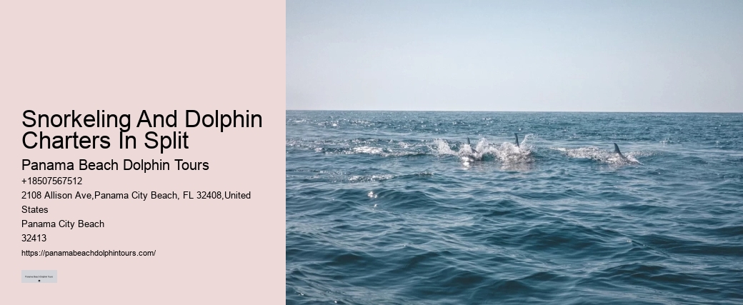 Salty Mary Dolphin And Snorkel Tours Reviews