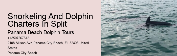 Jet Boat Dolphin Tours