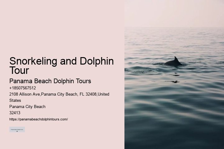 Dolphins In