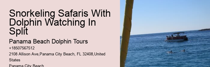 Swimming With Captive Dolphins