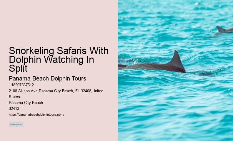 Split Eco-tours Featuring Dolphin Encounters And Snorkeling