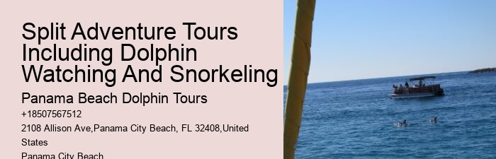 PCB Dolphin Exploration Trips