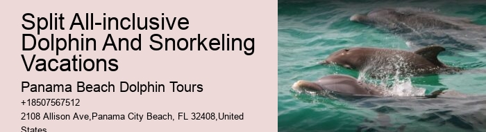 Snorkeling and Dolphin Tour