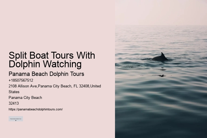 Can Dolphins Sense Human Pregnancy