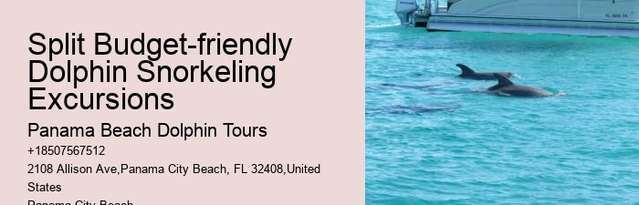 What Is The Natural Enemy Of Dolphins