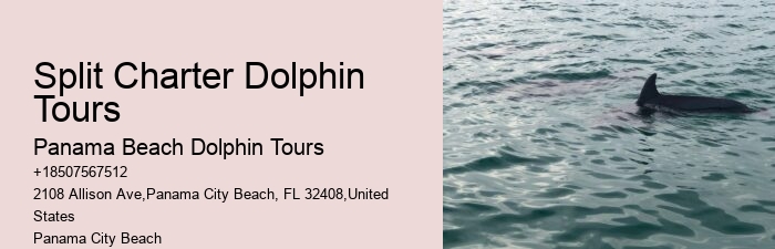 Marine mammal research