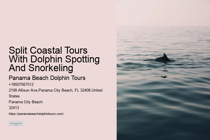 Will Dolphins Let You Touch Them