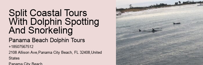 Snorkeling spots