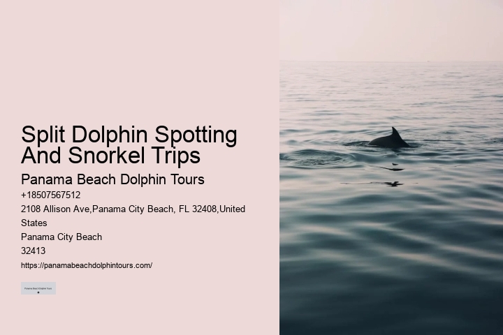Do dolphin tours in Panama City Beach guarantee sightings
