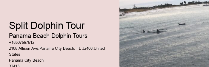 Screamer Boat Tours